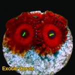 True red people eater zoas